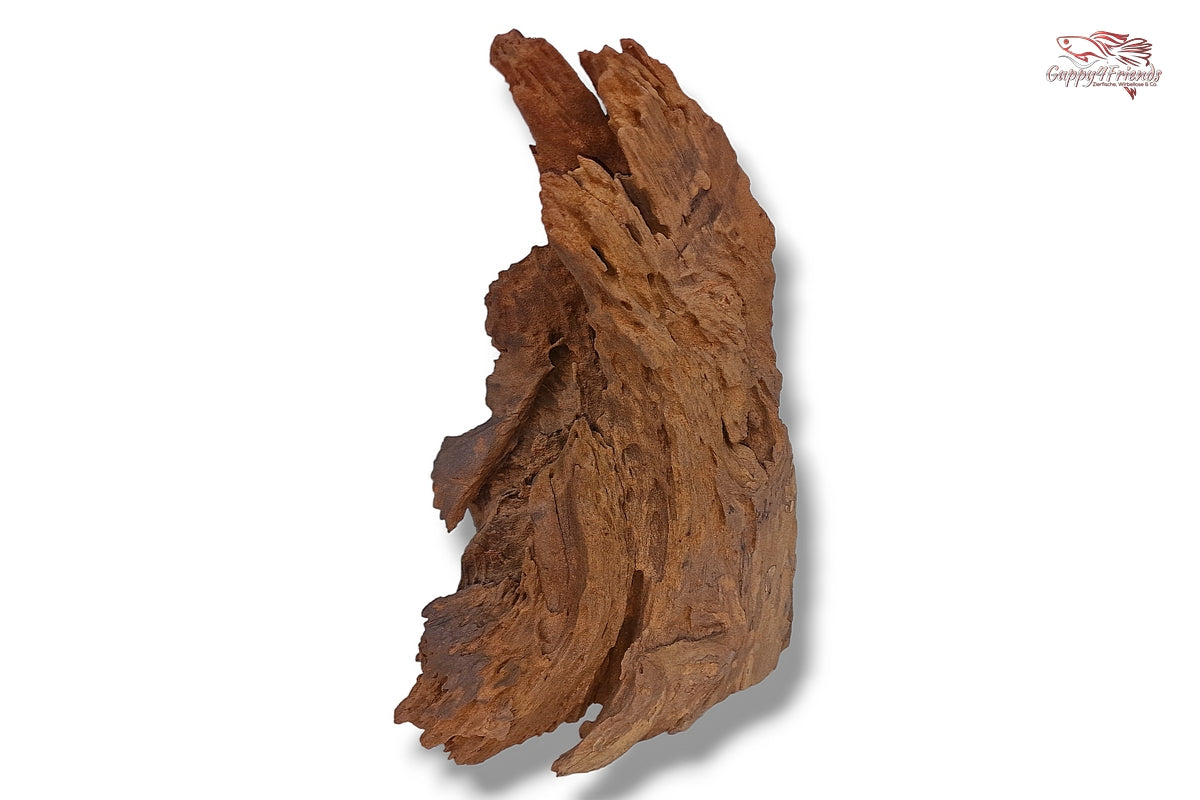 Aquariumwurzel-Aquariumeinrichtung-Aquariumdeko-Mangrove-Mangrovenwurzel-Mangrovenholz-massives-Holz-wuchtige-Optik-Holz-Klassiker-Aquariumwurzeln-L-Welse-Versteckmöglichkeiten-Bepflanzung