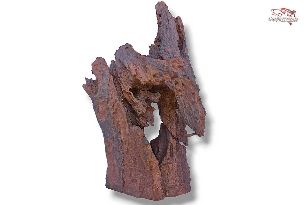Aquariumwurzel-Aquariumeinrichtung-Aquariumdeko-Mangrove-Mangrovenwurzel-Mangrovenholz-massives-Holz-wuchtige-Optik-Holz-Klassiker-Aquariumwurzeln-L-Welse-Versteckmöglichkeiten-Bepflanzung