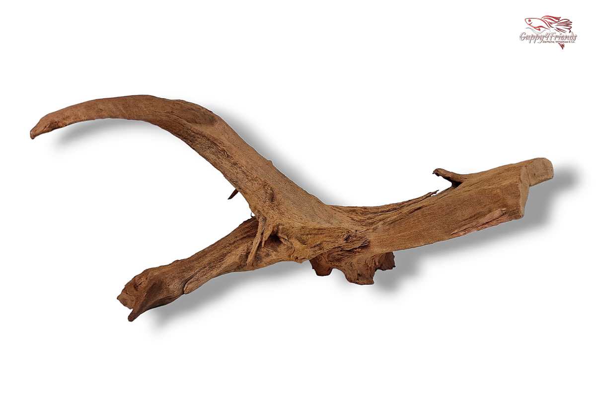 Aquariumwurzel-Aquariumeinrichtung-Aquariumdeko-Mangrove-Mangrovenwurzel-Mangrovenholz-massives-Holz-wuchtige-Optik-Holz-Klassiker-Aquariumwurzeln-L-Welse-Versteckmöglichkeiten-Bepflanzung