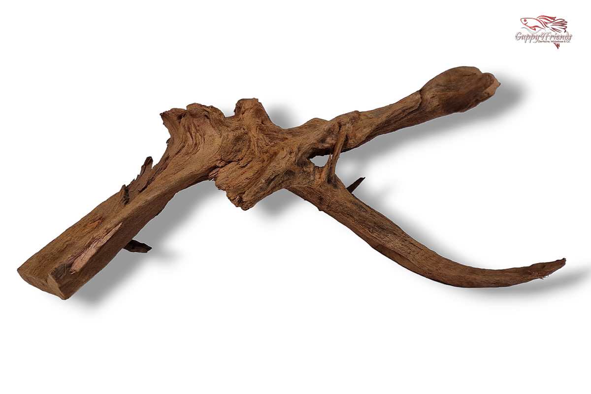 Aquariumwurzel-Aquariumeinrichtung-Aquariumdeko-Mangrove-Mangrovenwurzel-Mangrovenholz-massives-Holz-wuchtige-Optik-Holz-Klassiker-Aquariumwurzeln-L-Welse-Versteckmöglichkeiten-Bepflanzung