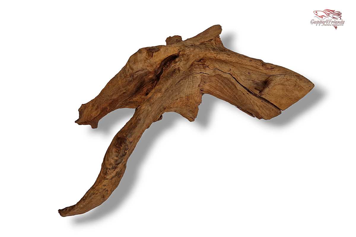 Aquariumwurzel-Aquariumeinrichtung-Aquariumdeko-Mangrove-Mangrovenwurzel-Mangrovenholz-massives-Holz-wuchtige-Optik-Holz-Klassiker-Aquariumwurzeln-L-Welse-Versteckmöglichkeiten-Bepflanzung