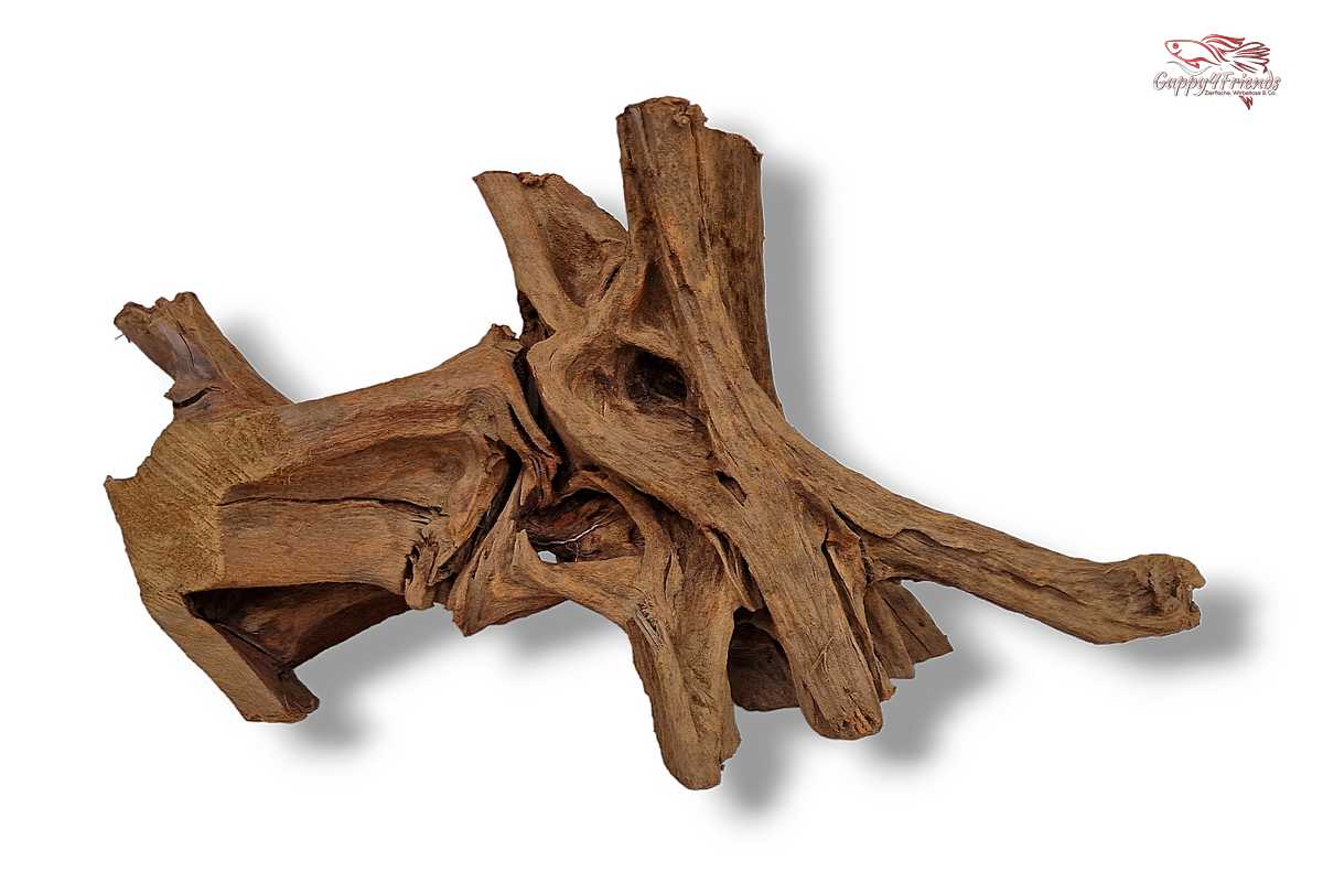 Aquariumwurzel-Aquariumeinrichtung-Aquariumdeko-Mangrove-Mangrovenwurzel-Mangrovenholz-massives-Holz-wuchtige-Optik-Holz-Klassiker-Aquariumwurzeln-L-Welse-Versteckmöglichkeiten-Bepflanzung