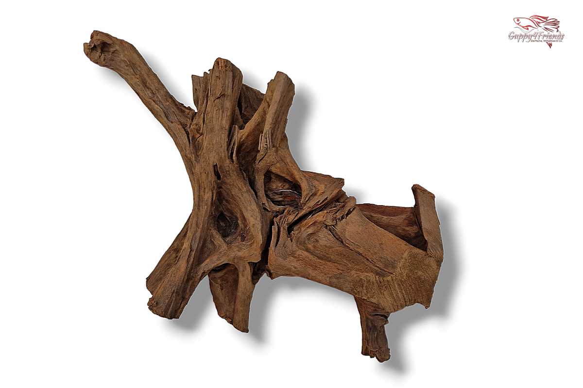 Aquariumwurzel-Aquariumeinrichtung-Aquariumdeko-Mangrove-Mangrovenwurzel-Mangrovenholz-massives-Holz-wuchtige-Optik-Holz-Klassiker-Aquariumwurzeln-L-Welse-Versteckmöglichkeiten-Bepflanzung