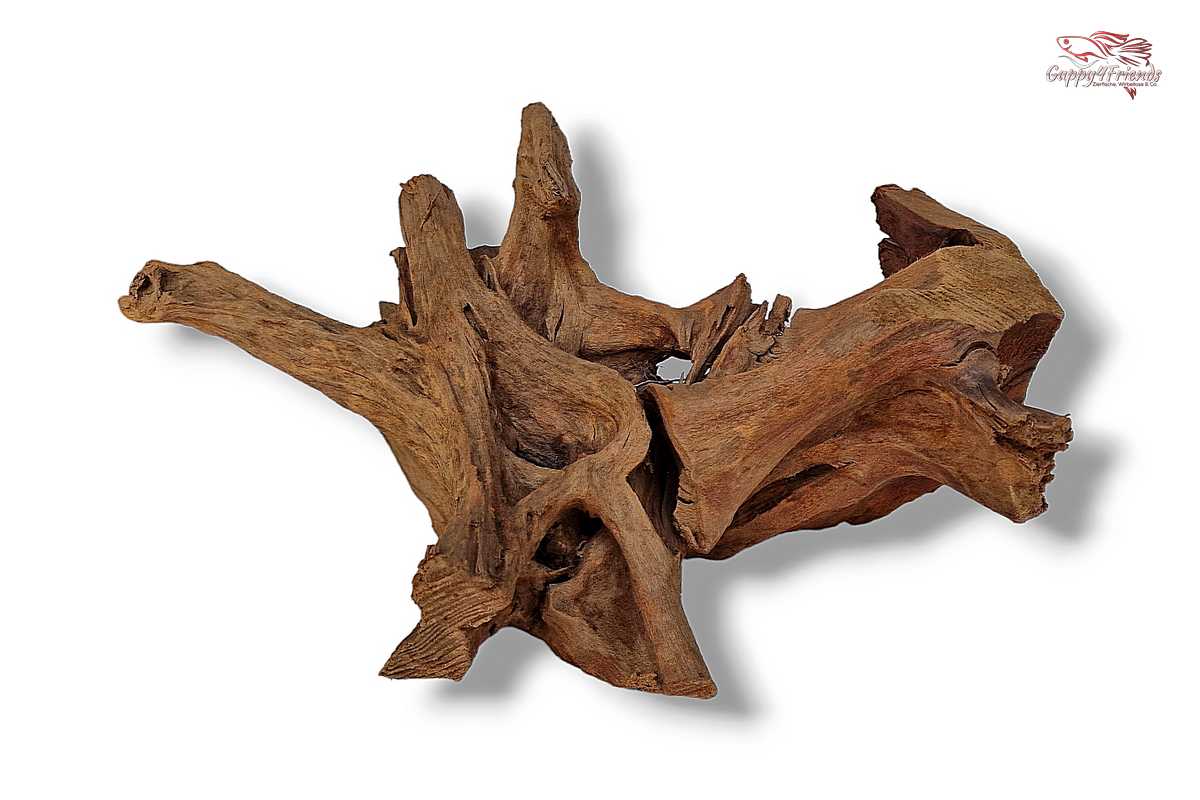 Aquariumwurzel-Aquariumeinrichtung-Aquariumdeko-Mangrove-Mangrovenwurzel-Mangrovenholz-massives-Holz-wuchtige-Optik-Holz-Klassiker-Aquariumwurzeln-L-Welse-Versteckmöglichkeiten-Bepflanzung