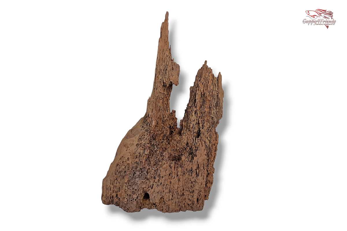 Aquariumwurzel-Aquariumeinrichtung-Aquariumdeko-Mangrove-Mangrovenwurzel-Mangrovenholz-massives-Holz-wuchtige-Optik-Holz-Klassiker-Aquariumwurzeln-L-Welse-Versteckmöglichkeiten-Bepflanzung