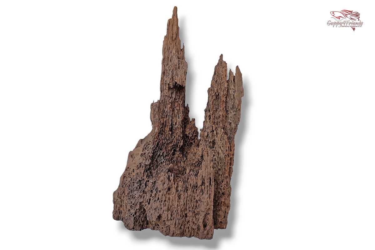 Aquariumwurzel-Aquariumeinrichtung-Aquariumdeko-Mangrove-Mangrovenwurzel-Mangrovenholz-massives-Holz-wuchtige-Optik-Holz-Klassiker-Aquariumwurzeln-L-Welse-Versteckmöglichkeiten-Bepflanzung