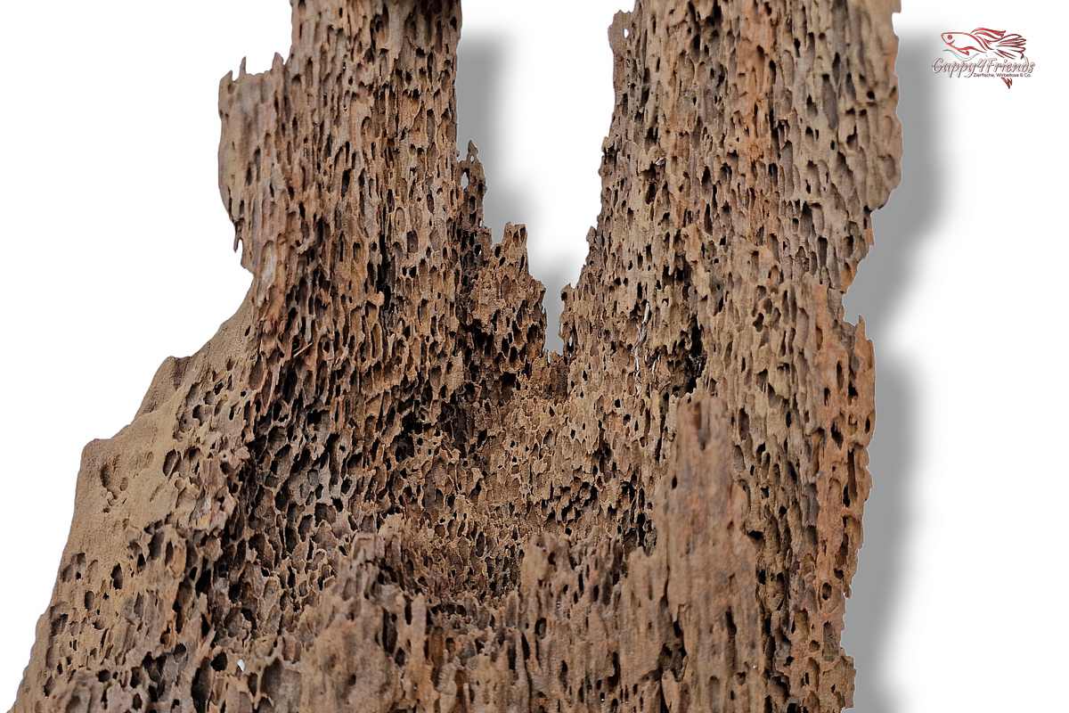 Aquariumwurzel-Aquariumeinrichtung-Aquariumdeko-Mangrove-Mangrovenwurzel-Mangrovenholz-massives-Holz-wuchtige-Optik-Holz-Klassiker-Aquariumwurzeln-L-Welse-Versteckmöglichkeiten-Bepflanzung