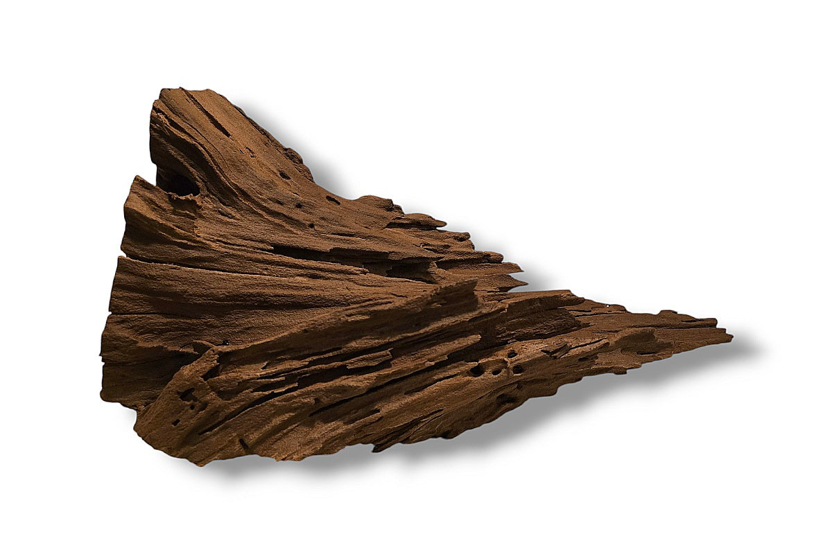 Mangrove / Aquariumwurzel 52 x 21 x 28cm - Einzelstück