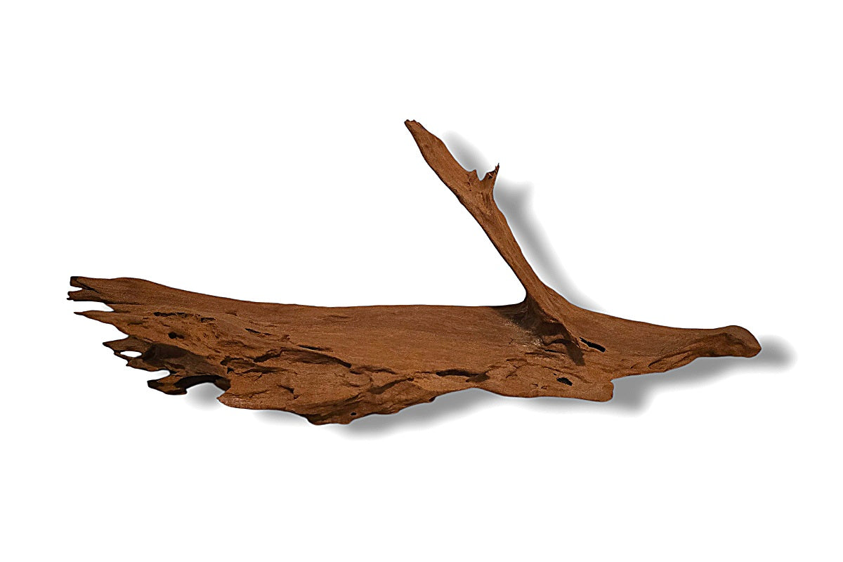Mangrove / Aquariumwurzel 62 x 17 x 19cm - Einzelstück