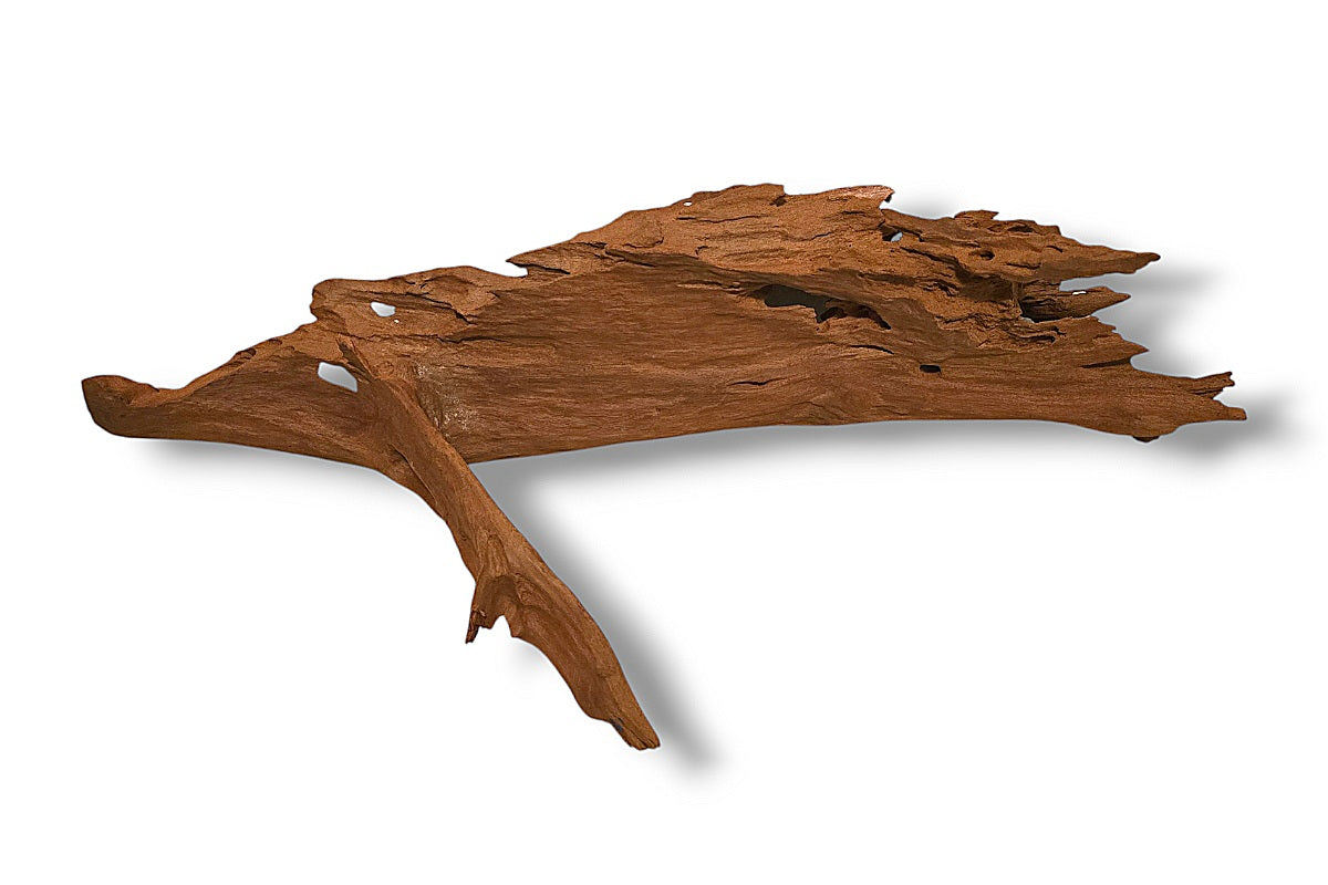 Mangrove / Aquariumwurzel 62 x 17 x 19cm - Einzelstück