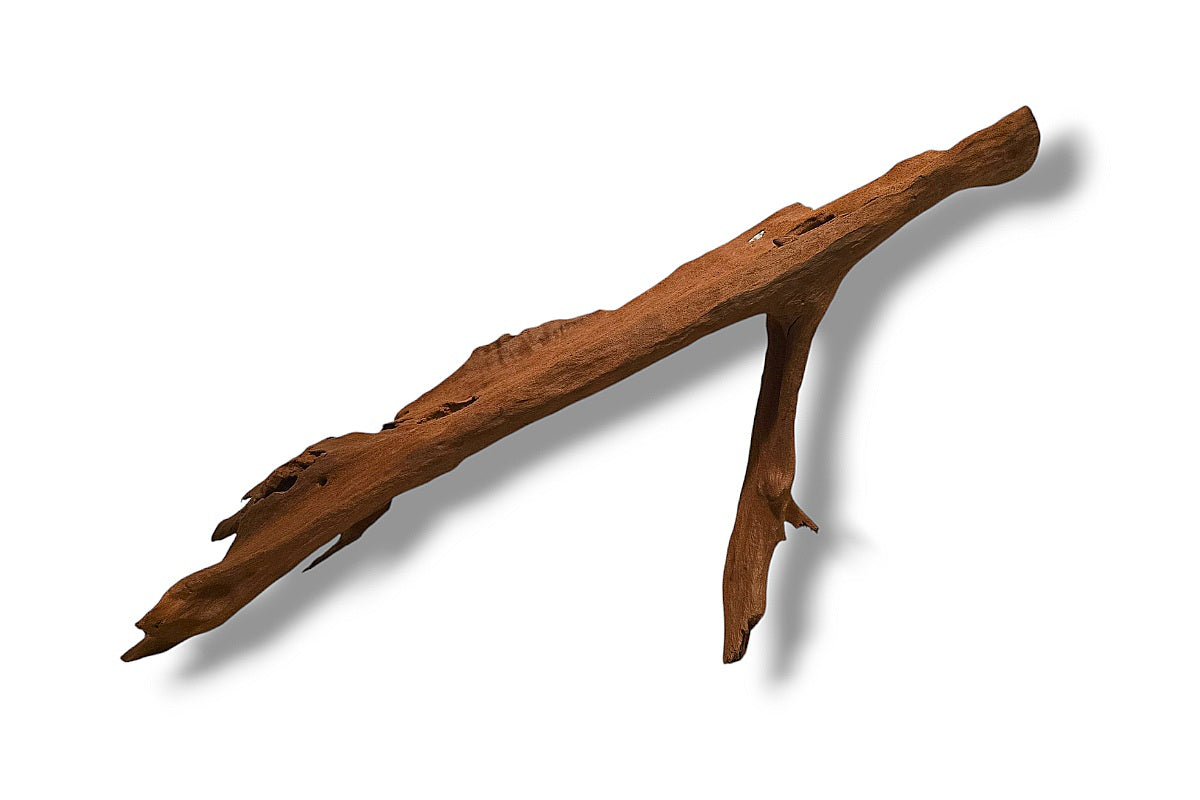 Mangrove / Aquariumwurzel 62 x 17 x 19cm - Einzelstück