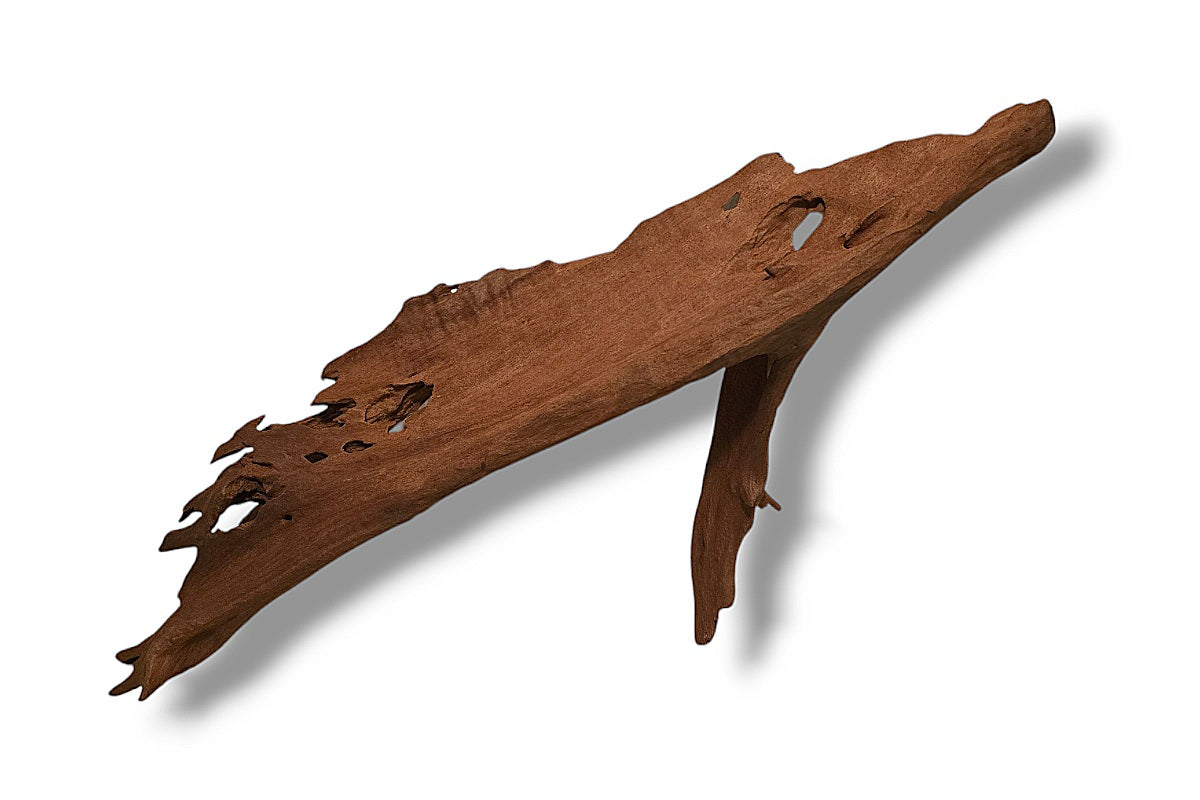 Mangrove / Aquariumwurzel 62 x 17 x 19cm - Einzelstück