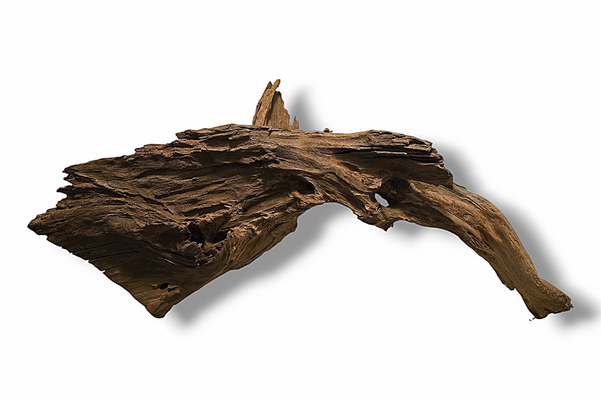 Mangrove / Aquariumwurzel 90 x 31 x 45cm - Einzelstück