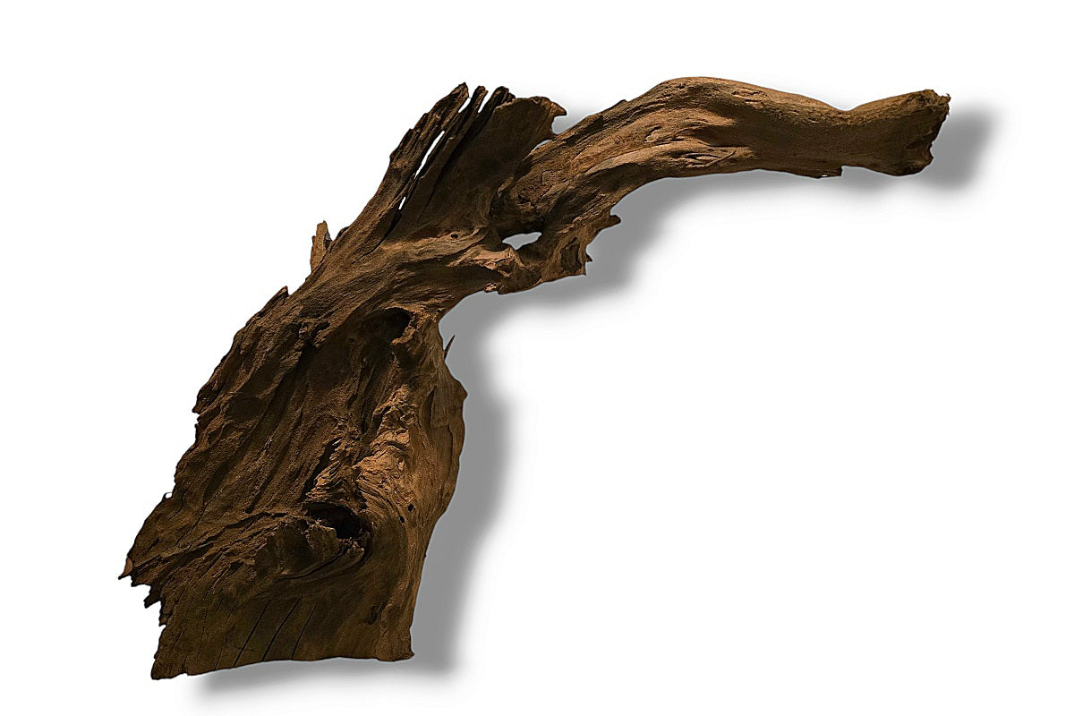 Mangrove / Aquariumwurzel 90 x 31 x 45cm - Einzelstück