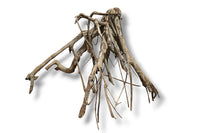 Talawa Wood / Talawaholz / Talawawurzel ca. 63 x 46 x 42cm - Einzelstück!