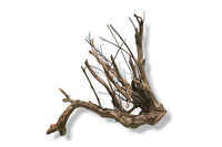 Talawa Wood / Talawaholz / Talawawurzel ca. 63 x 46 x 42cm - Einzelstück!