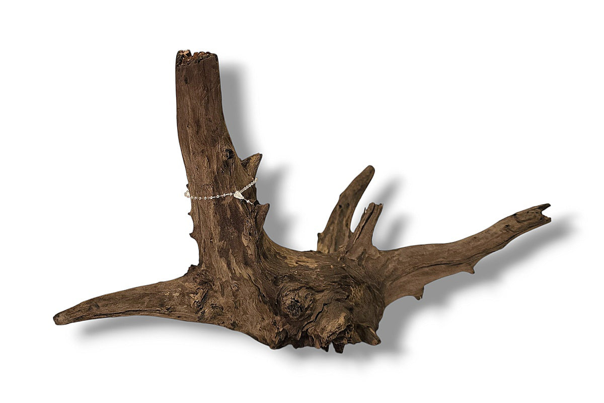 Corbo-Root / Mini Stump / Aquariumwurzel 40 x 23 x 22cm - Unikat
