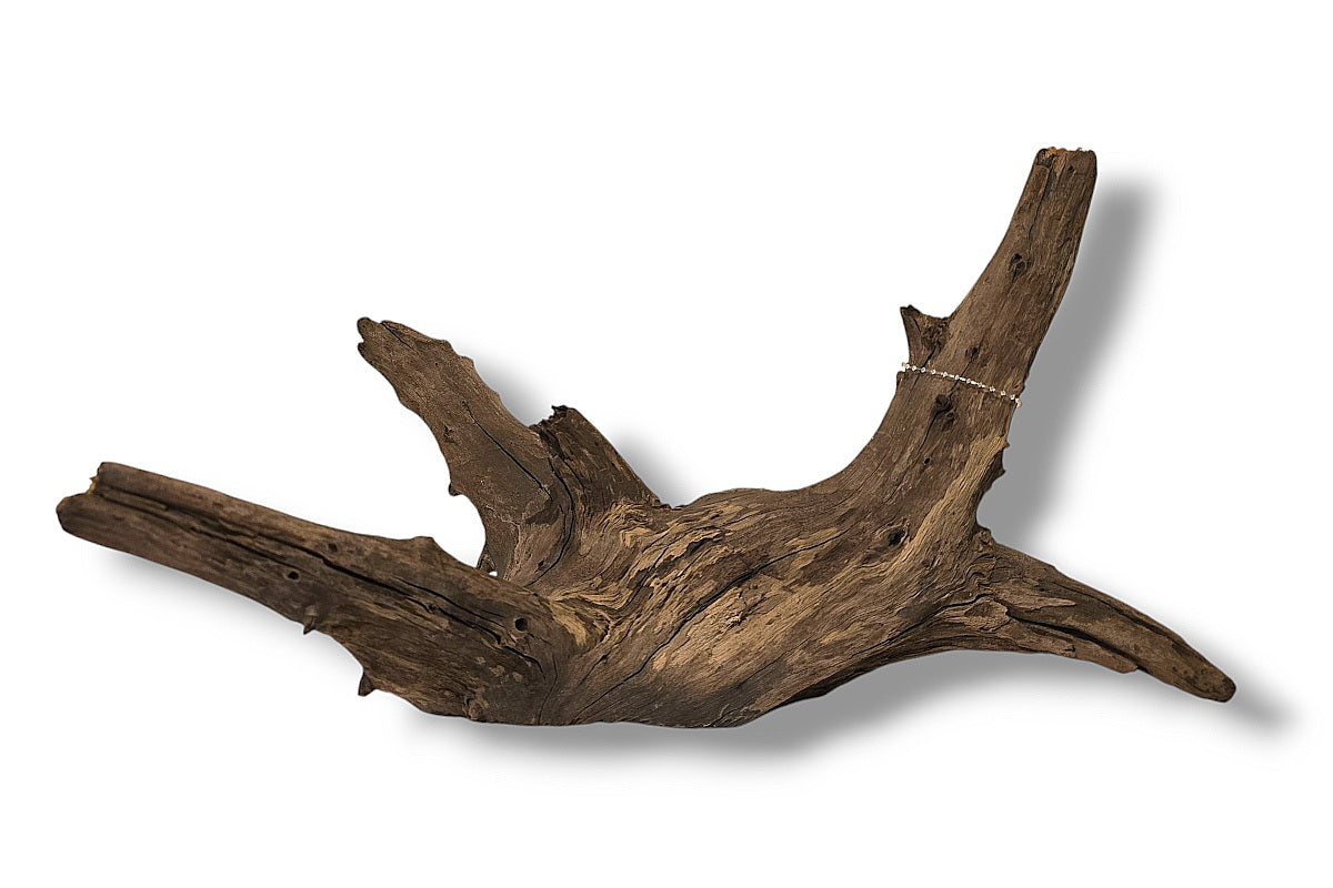 Corbo-Root / Mini Stump / Aquariumwurzel 40 x 23 x 22cm - Unikat