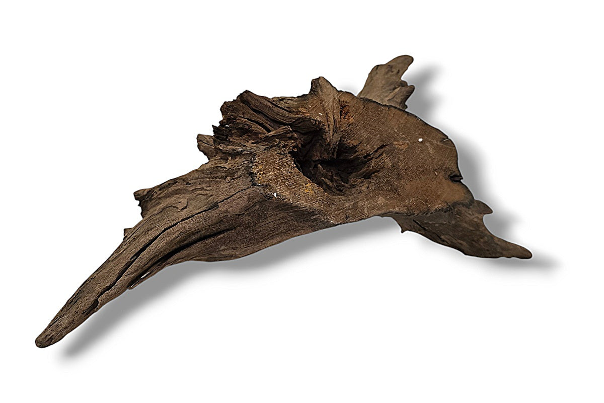 Corbo-Root / Mini Stump / Aquariumwurzel 40 x 23 x 22cm - Unikat