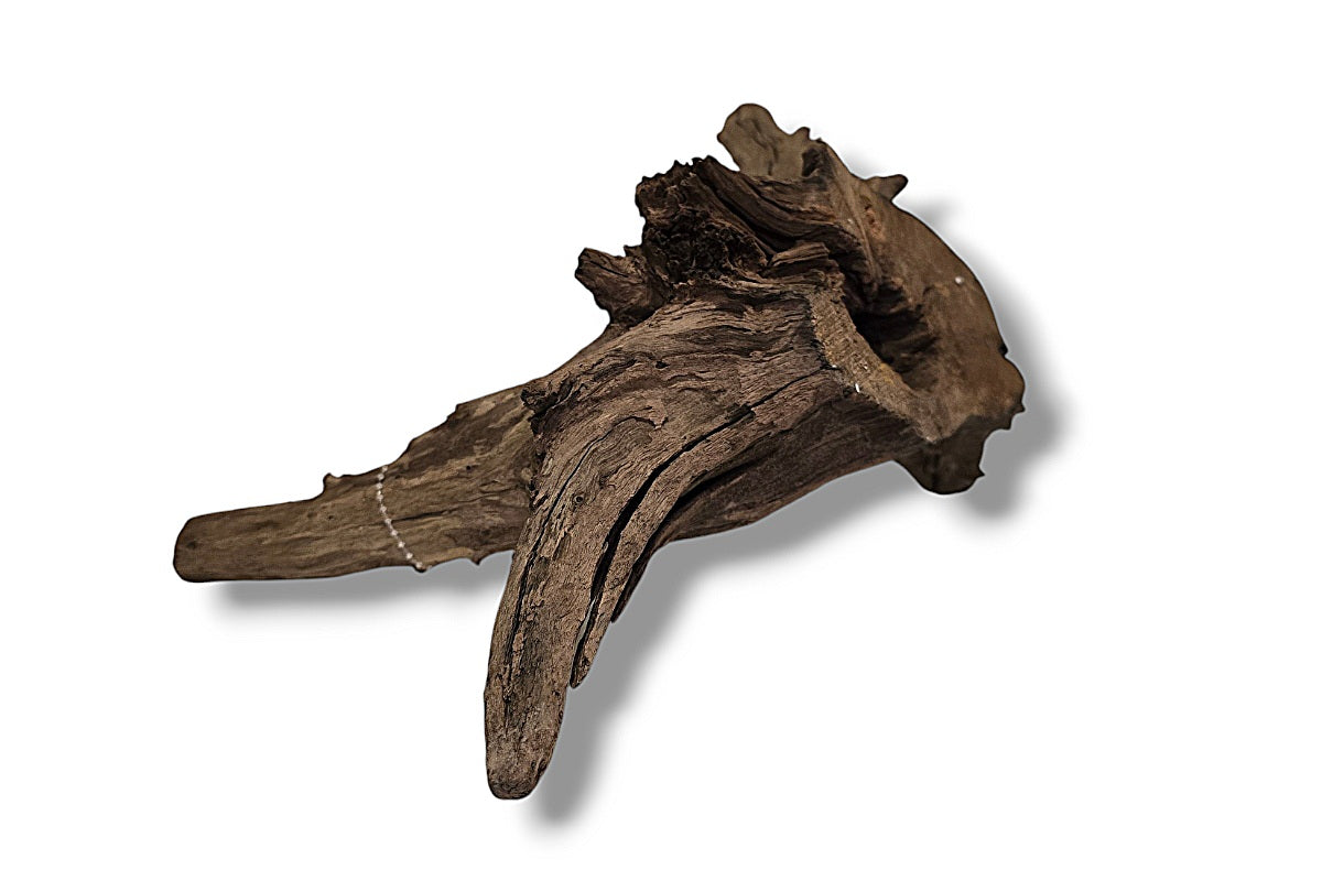 Corbo-Root / Mini Stump / Aquariumwurzel 40 x 23 x 22cm - Unikat