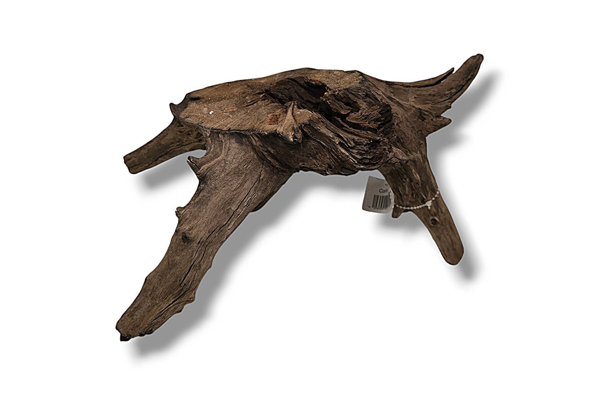 Corbo-Root / Mini Stump / Aquariumwurzel 40 x 23 x 22cm - Unikat
