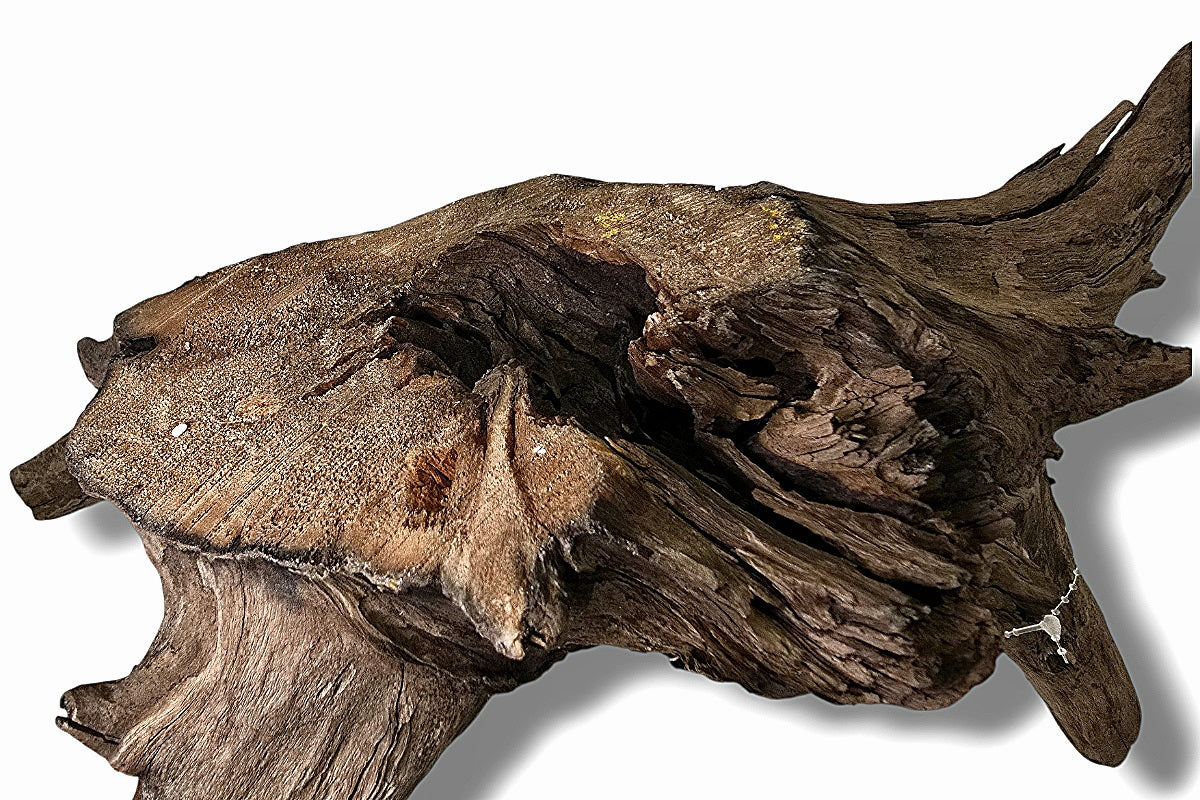 Corbo-Root / Mini Stump / Aquariumwurzel 40 x 23 x 22cm - Unikat