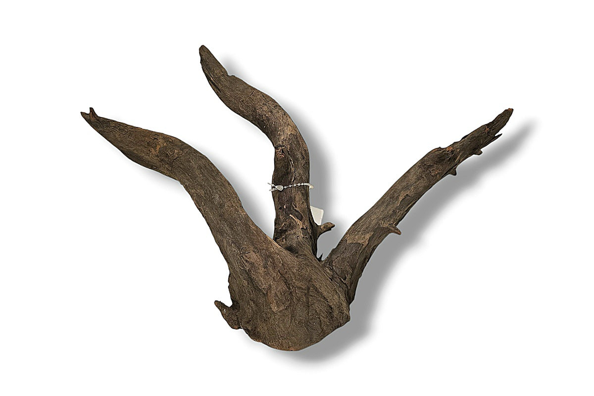 Corbo-Root / Aquariumwurzel 42 x 22 x 25cm - Unikat