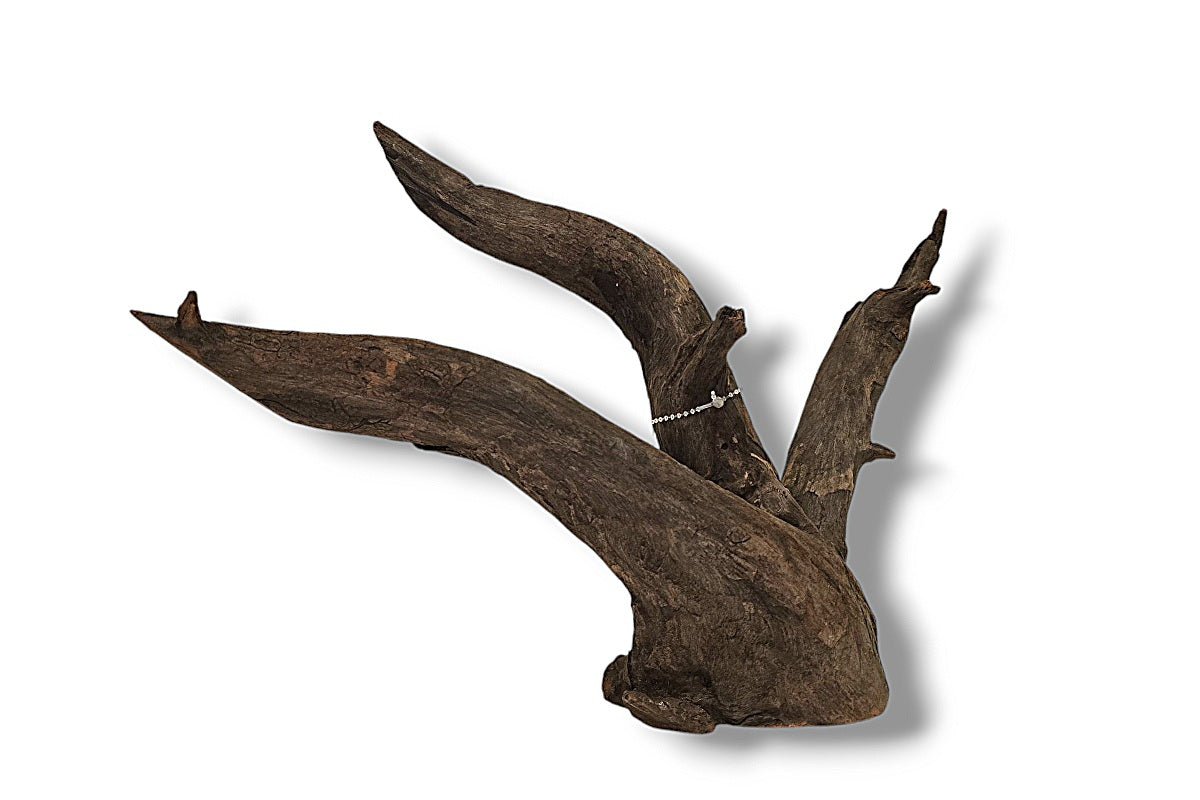 Corbo-Root / Aquariumwurzel 42 x 22 x 25cm - Unikat