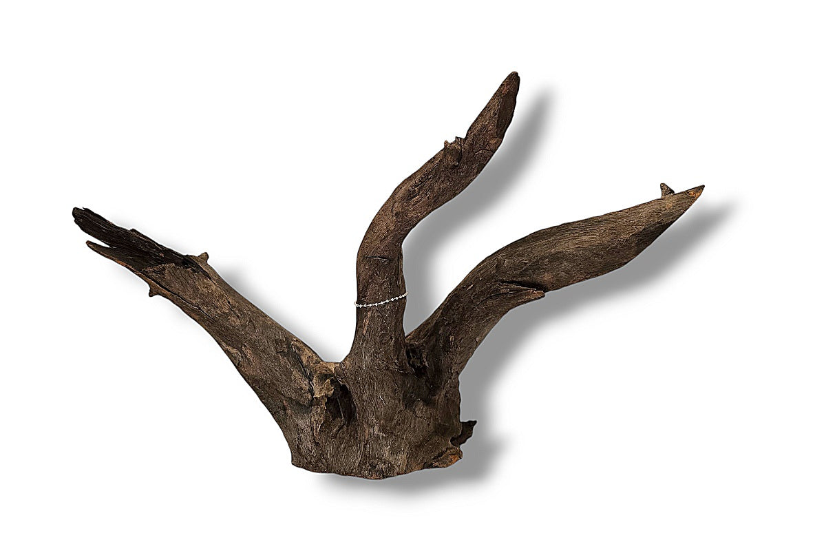 Corbo-Root / Aquariumwurzel 42 x 22 x 25cm - Unikat