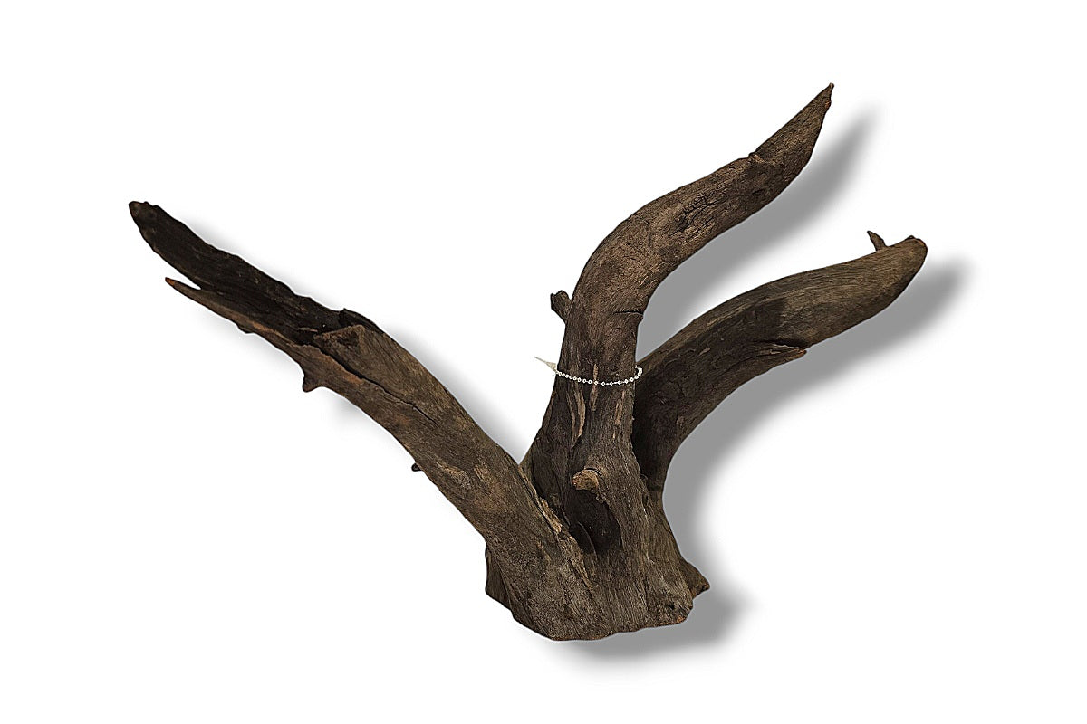 Corbo-Root / Aquariumwurzel 42 x 22 x 25cm - Unikat