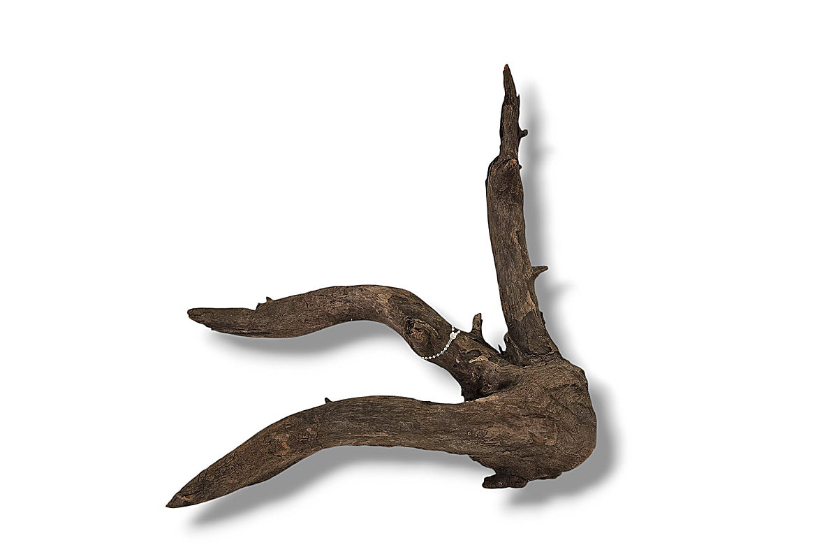 Corbo-Root / Aquariumwurzel 42 x 22 x 25cm - Unikat