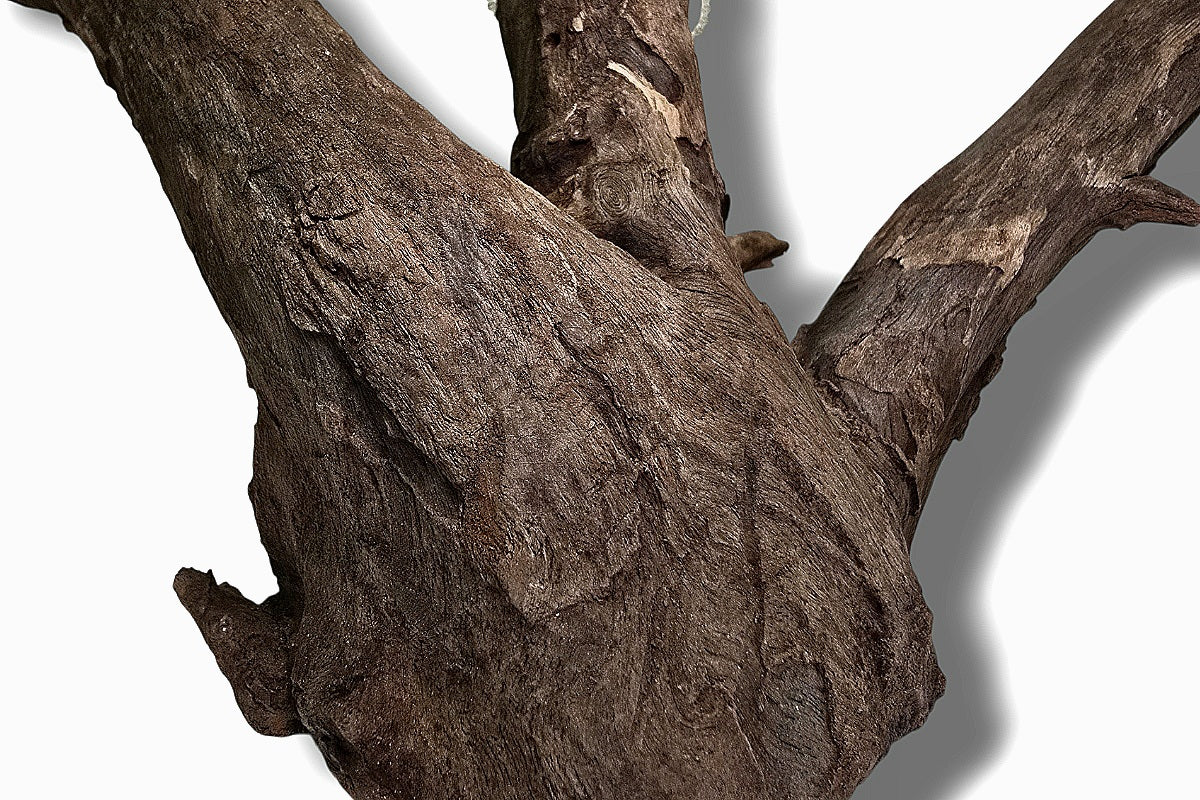 Corbo-Root / Aquariumwurzel 42 x 22 x 25cm - Unikat