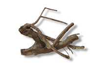 Talawa Wood / Talawaholz / Talawawurzel ca. 53 x 17 x 40cm - Einzelstück!