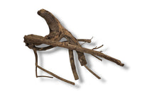 Talawa Wood / Talawaholz / Talawawurzel ca. 53 x 17 x 40cm - Einzelstück!