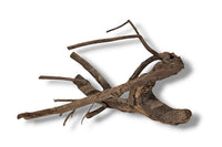 Talawa Wood / Talawaholz / Talawawurzel ca. 53 x 17 x 40cm - Einzelstück!