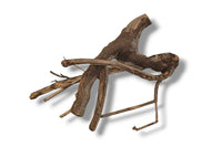 Talawa Wood / Talawaholz / Talawawurzel ca. 53 x 17 x 40cm - Einzelstück!