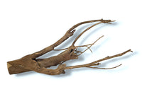 Talawa Wood / Talawaholz / Talawawurzel ca. 58 x 17 x 28cm - Einzelstück!