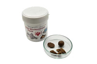 Rote Mückenlarven Paste 70g / 120g - Stream Biz