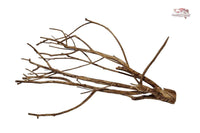 Talawa Wood / Talawaholz / Talawawurzel ca. 69 x 17 x 38cm - Einzelstück!