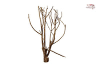 Talawa Wood / Talawaholz / Talawawurzel ca. 69 x 17 x 38cm - Einzelstück!