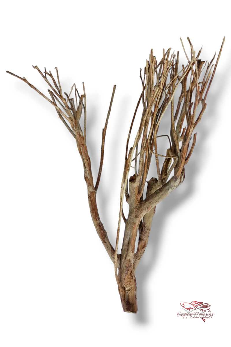 Talawaholz-Talawa-Wood-online-kaufen-direkt-bestellen-Aquariumholz-Aquariumwurzel-Talawa-Wood-aquadeco-Naturdeko-natürliche-Einrichtung- Diskus-Diskusbecken-Diskusaquarium