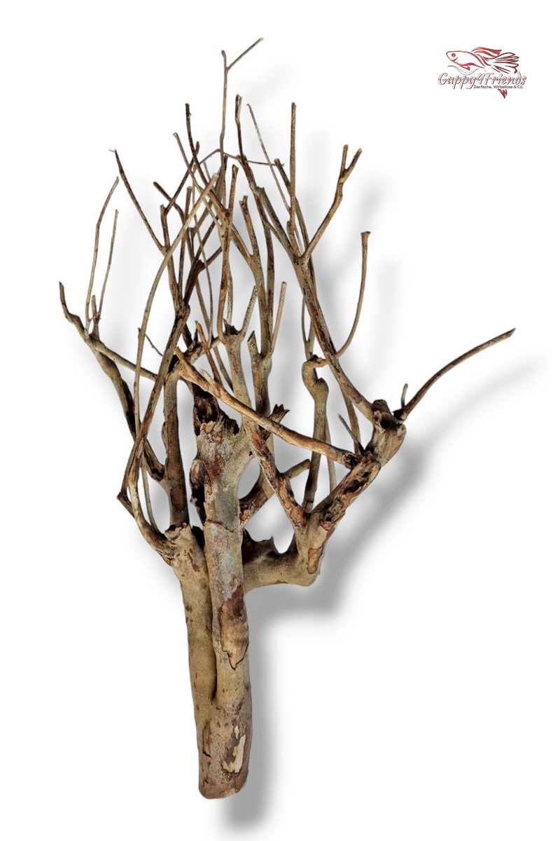 Talawaholz-Talawa-Wood-online-kaufen-direkt-bestellen-Aquariumholz-Aquariumwurzel-Talawa-Wood-aquadeco-Naturdeko-natürliche-Einrichtung