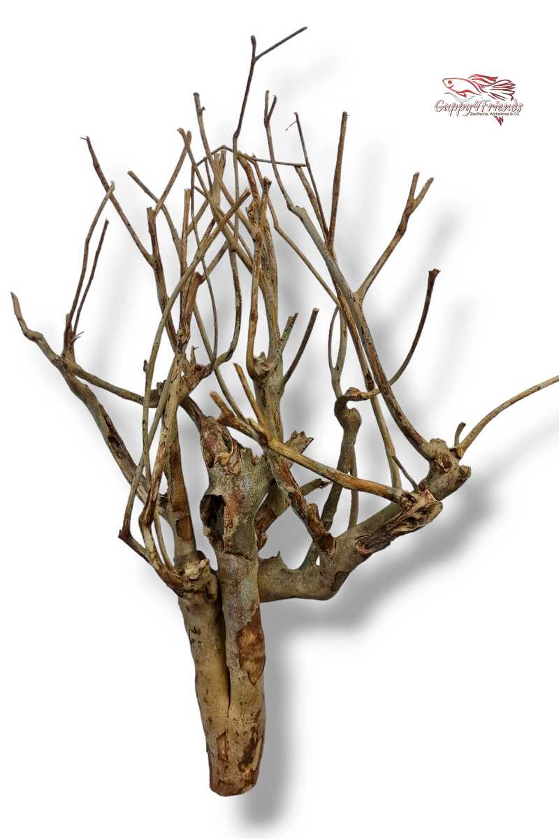 Talawaholz-Talawa-Wood-online-kaufen-direkt-bestellen-Aquariumholz-Aquariumwurzel-Talawa-Wood-aquadeco-Naturdeko-natürliche-Einrichtung