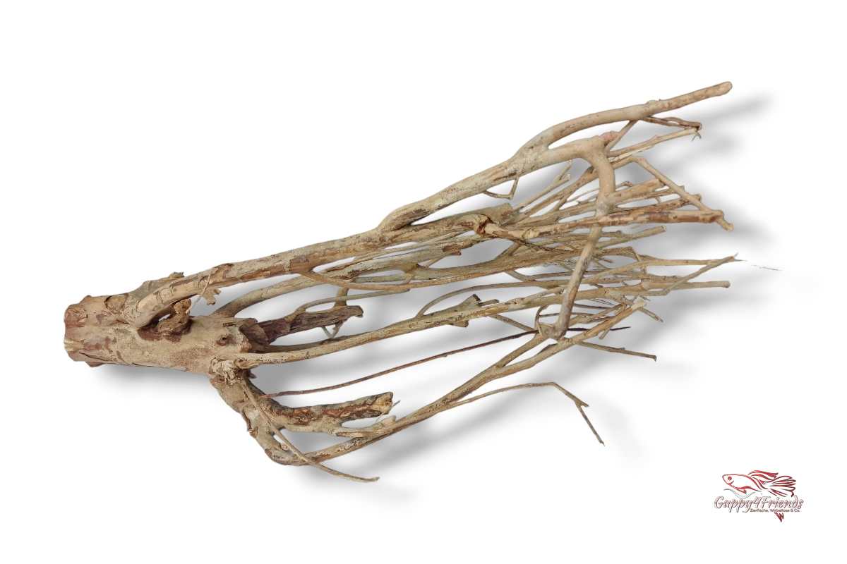 Talawaholz-Talawa-Wood-online-kaufen-direkt-bestellen-Aquariumholz-Aquariumwurzel-Talawa-Wood-aquadeco-Naturdeko-natürliche-Einrichtung- Diskus-Diskusbecken-Diskusaquarium-Biotop-Einrichtung-Skalare-Altum