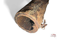 Seemandelbaumrinden Röhren (ca. 18-20cm) / Catappa Caves