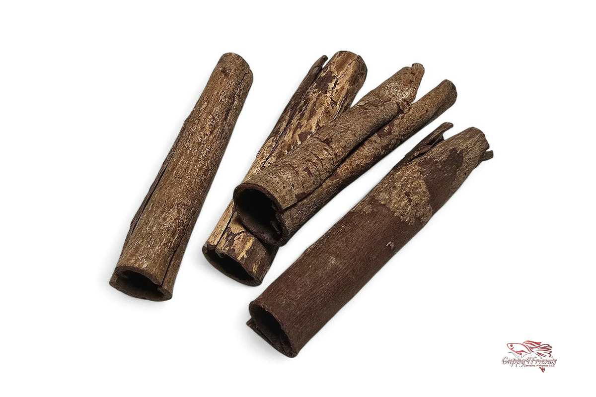 Seemandelbaumrinden Röhren (ca. 18-20cm) / Catappa Caves