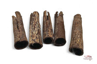 Seemandelbaumrinden-Röhre-Catappa-cave-seemandelbaumrindenhöhle-höhle-für-welse-catfish-cave-natural