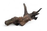 Corbo-Stump / Aquariumwurzel 50 x 28 x 30cm - Unikat