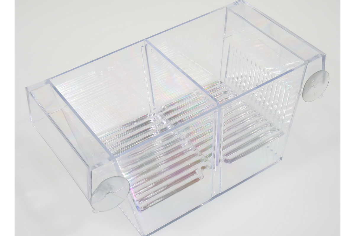 JBL-Aufzuchtkasten-Babyhome-Proair-Ablaichkasten-separieren-kranker-Fische-Zucht-Lebendgebärende-Guppyzucht