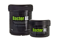GlasGarten Bacter AE, Wasserzusatz für Biofilm und Mikroflora / Mikrofauna im Garnelenaquarium. fügt wichtige Mikroorganismen, Aminosäuren und Enzyme hinzu. Proteinreiche Nahrungsquelle für Garnelen. Bakterienkulturen für Zwerggarnelen und Ziergarnelen. Bacter AE speziell für Garnelen und Wirbellose. shrimp feed bacter AE. shrimp-food-bacter-AE.